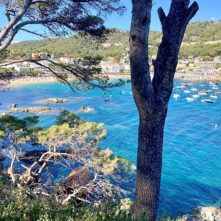 Apartment 1Llad01 - Llafranc Calella De Palafrugell Exteriér fotografie