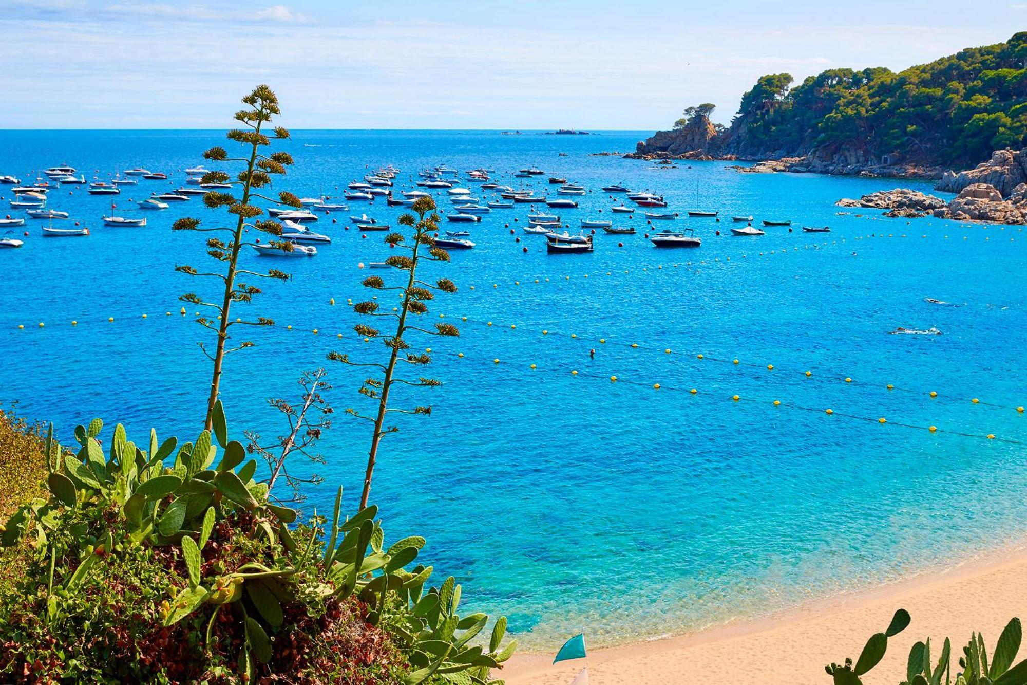 Apartment 1Llad01 - Llafranc Calella De Palafrugell Exteriér fotografie